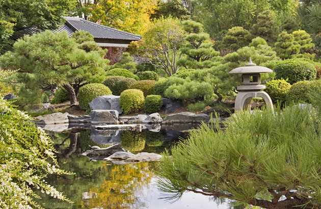 Japanese And Botanic Gardens Amazing Nature
